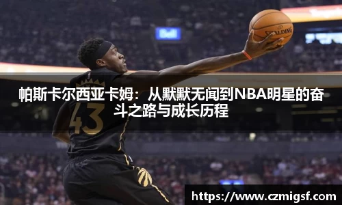 芒果体育官网入口